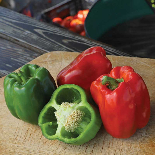 Bell Pepper