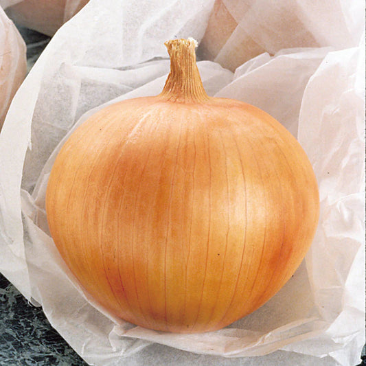 Onions